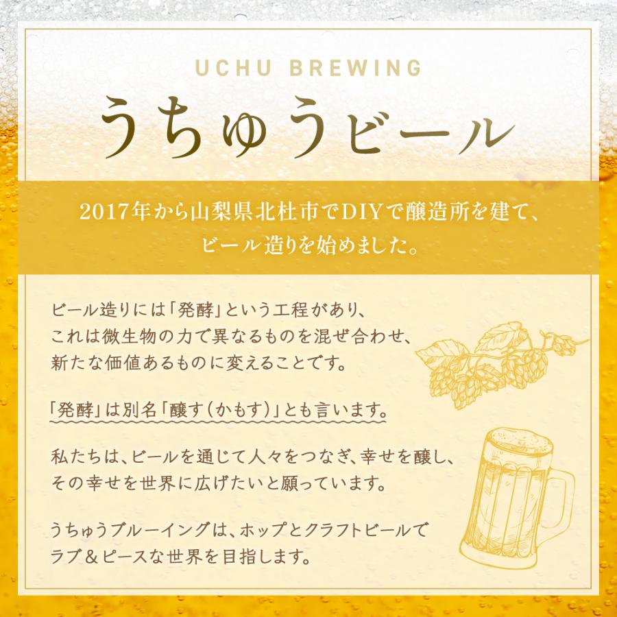うちゅうビール 350ml 飲み比べ 6本セット お任せ 厳選 クラフトビール