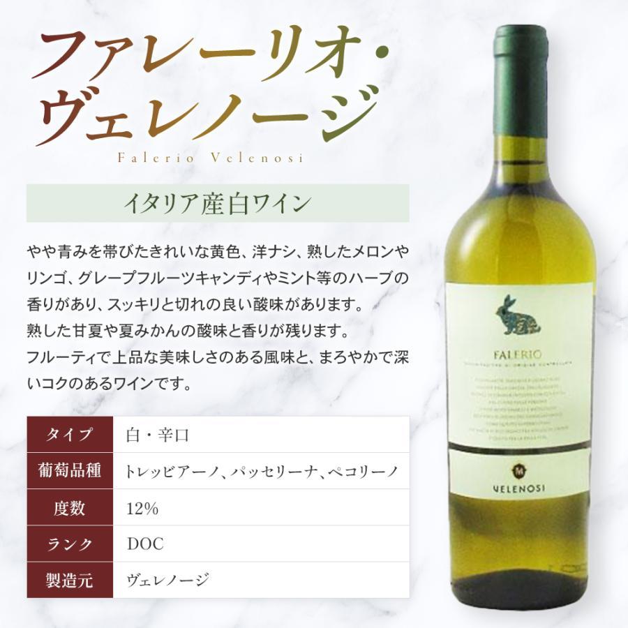 イタリア 赤 白ワイン イタリアワイン ヴェレノージ うさぎラベル