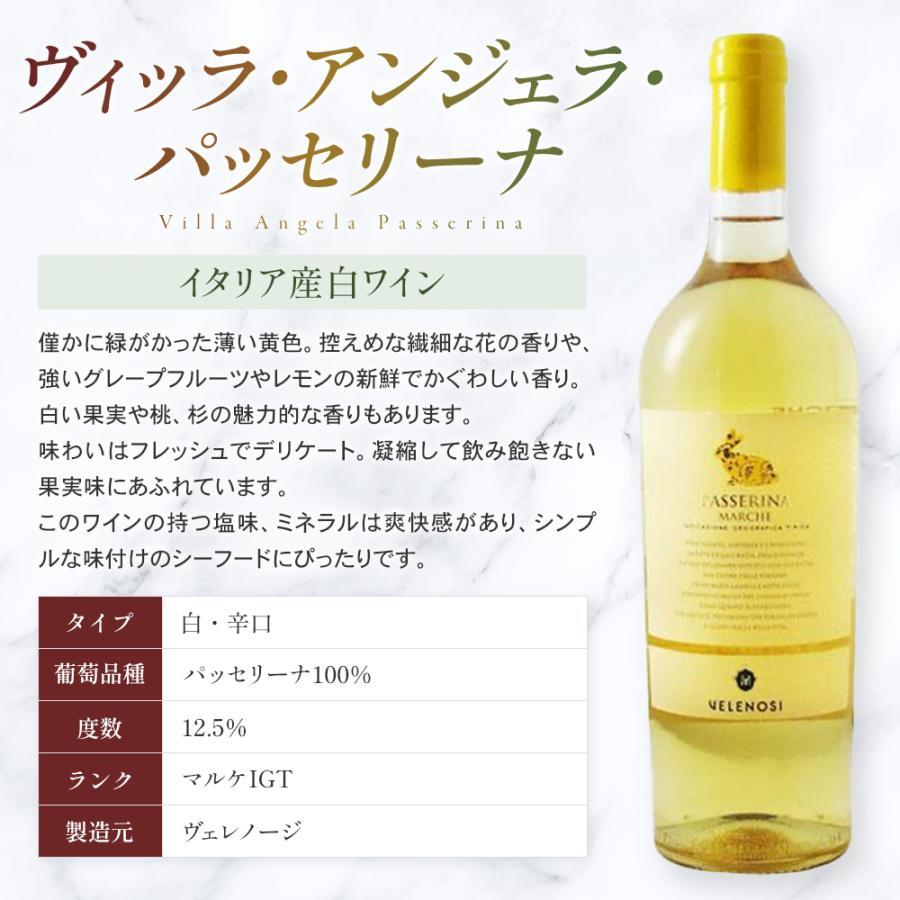 イタリア 赤 白ワイン イタリアワイン ヴェレノージ うさぎラベル