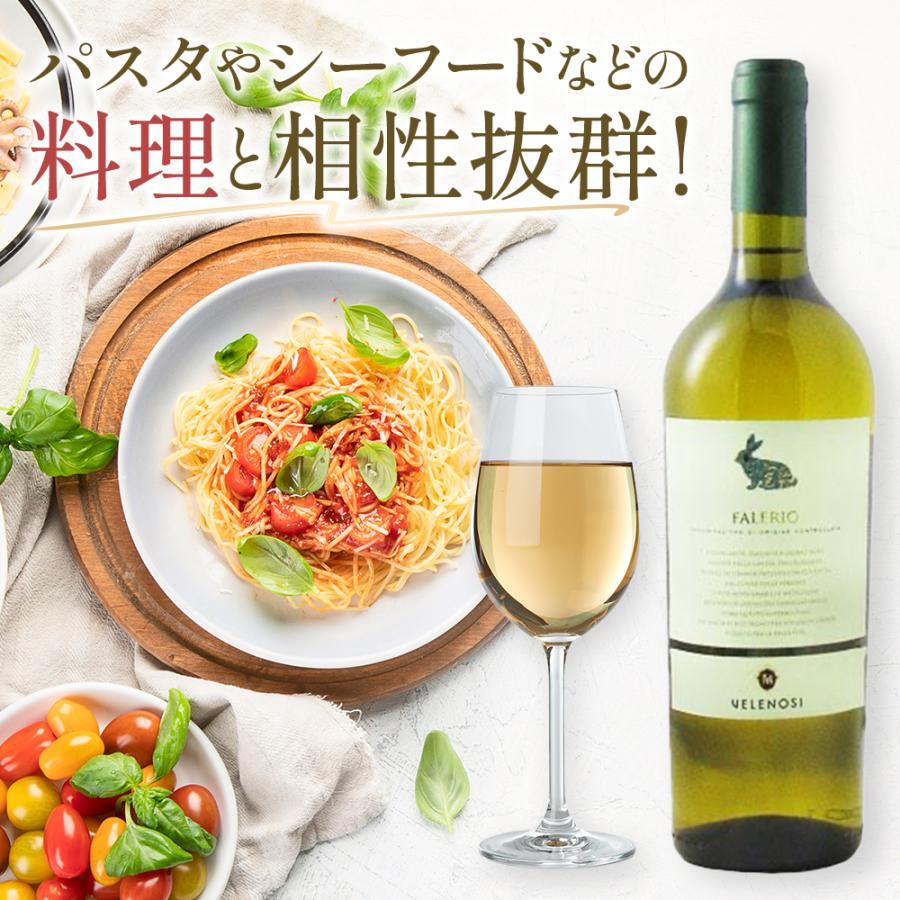 イタリア 赤 白ワイン イタリアワイン ヴェレノージ うさぎラベル