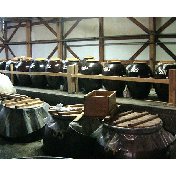 まむし焼酎！2026令和8年 お年賀 2026 ギフト 芋焼酎 摩無志 まむし 25