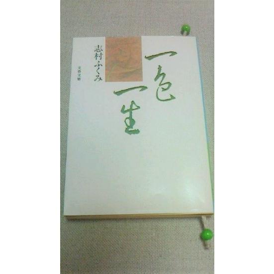 あさいと木玉しおり |  | 03