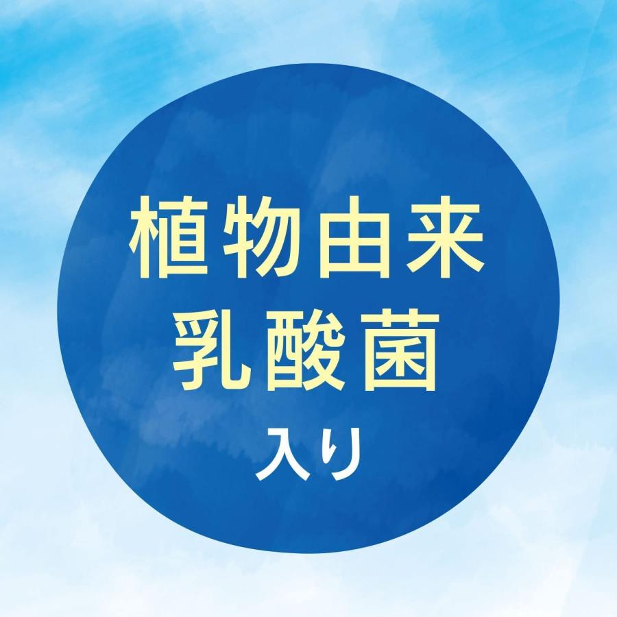 伊藤園 晴れのち曇り時々お茶 PET 500ml*24本｜yamasaki-onlineshop｜04