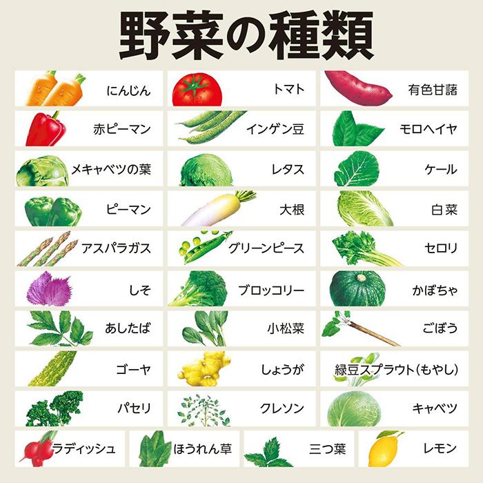 送料無料 伊藤園 1日分の野菜 30種類の野菜 200ml 2ケース 48本入り 紙パック 野菜ジュース｜yamasaki-onlineshop｜04