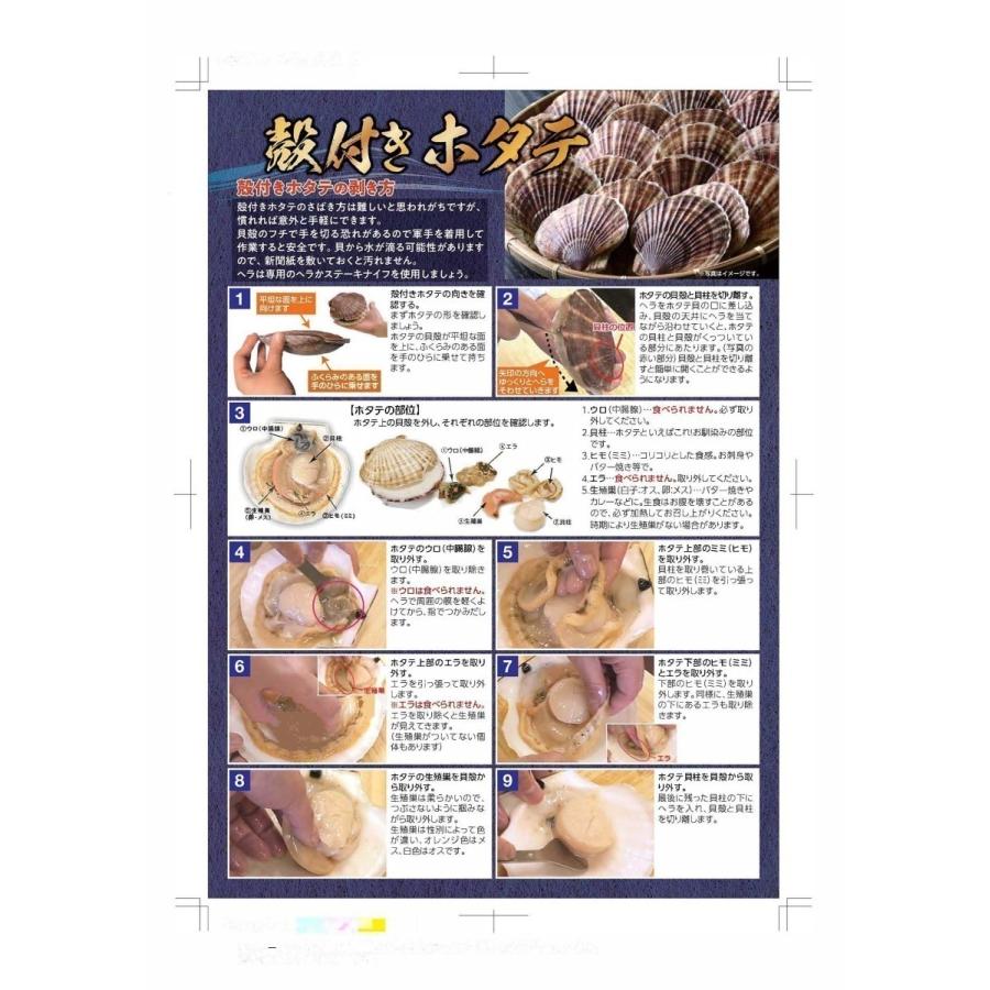 季節限定3月 12月 天然活ホタテ 無選別サイズ 10 オホーツク海湧別沖産 帆立 ほたて 天然 ｂｂｑ用 殻付き 送料無料 Hotate0032 ヤマサン伊藤商事 通販 Yahoo ショッピング
