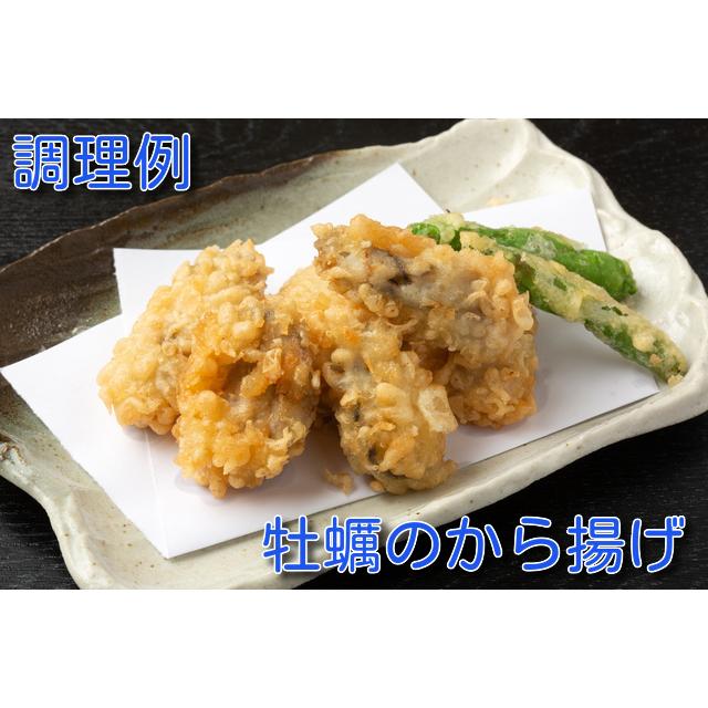 【季節限定】サロマ湖産殻付き牡蛎　サイズ無選別30個入【 数量限定】　送料無料　ＢＢＱ　カキ　｜yamasan-itou｜04