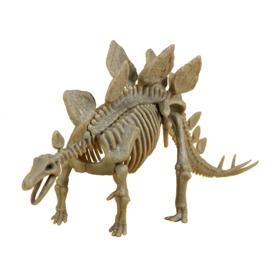 発掘 組み立て 恐竜 ステゴサウルス 博物館 おうちじかん 工作 夏休み