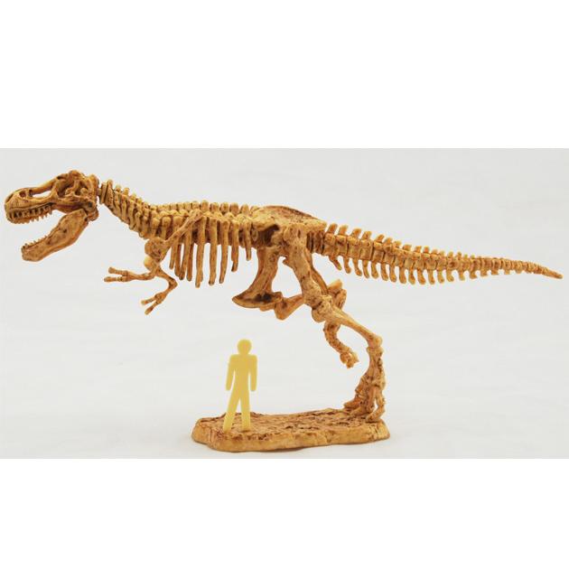 ヤマサン T-Rex Skeleton 化石発掘キット　ティラノサウルス 骨格 恐竜発掘 キット 【ティラノサウルス】 博物館 工作 夏休み 自由