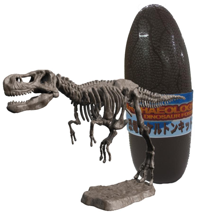 恐竜スケルトンキット ティラノサウルス : ヤマサン Yahoo!ショップ