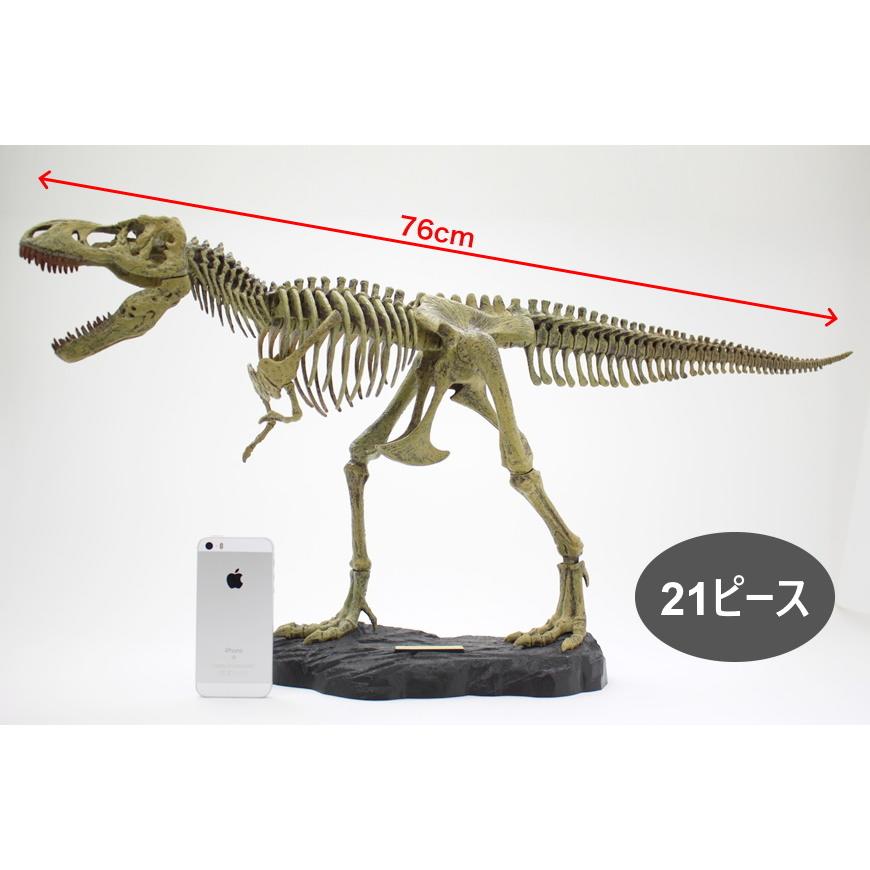 T-REX 骨格組み立てキット / ティラノサウル インテリア 父の日 大きい