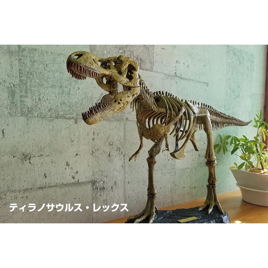 T-REX 骨格組み立てキット / ティラノサウル インテリア 父の日 大きい