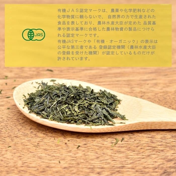 【お得な3袋セット】有機煎茶 80g×3袋 | 緑茶 煎茶 有機緑茶 有機茶葉 茶葉 国産 日本茶 国産茶葉 京都 宇治 有機 有機JAS オーガニック｜yamasan｜09