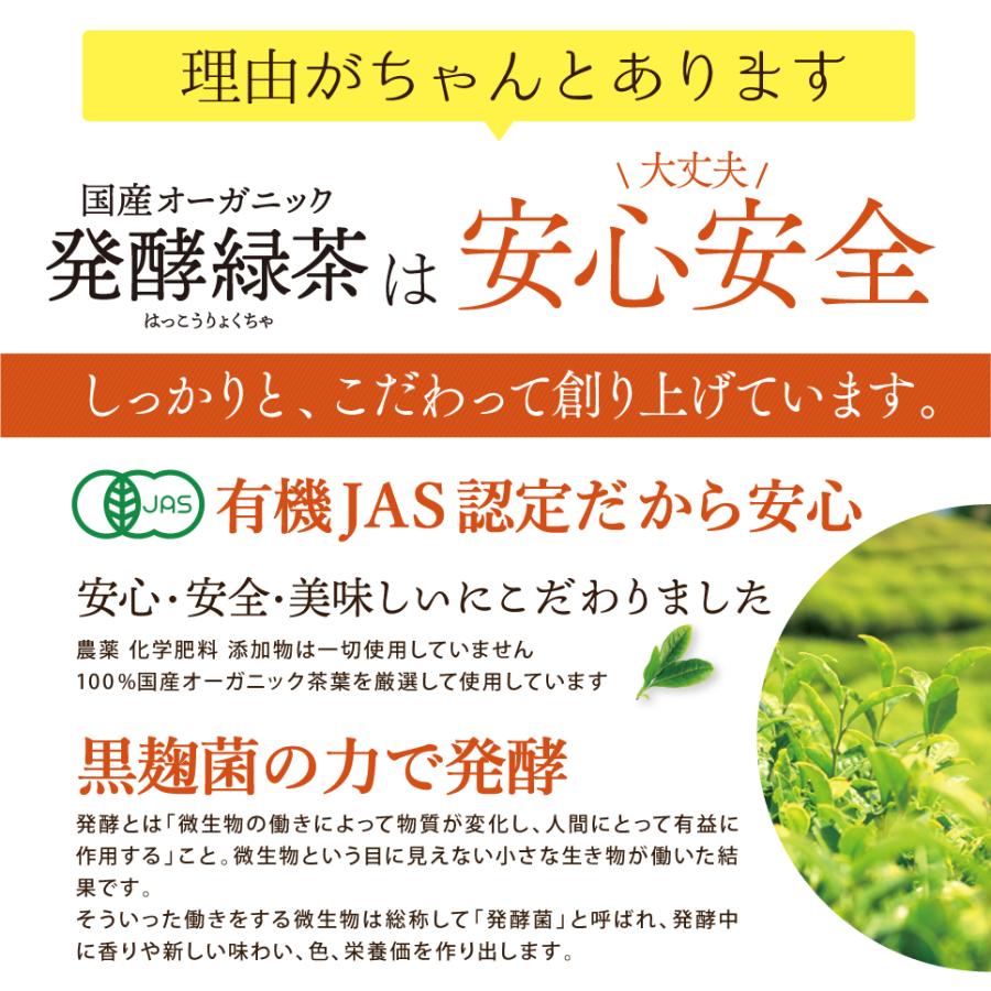 ★プーアール茶★ 20個セット 国産 オーガニック 発酵緑茶【2g×20包】｜ プーアル茶 プーアール茶