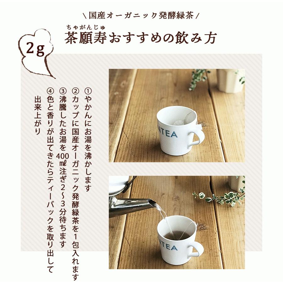 国産 オーガニック 発酵緑茶【2g×20包】｜ プーアル茶 プーアール茶