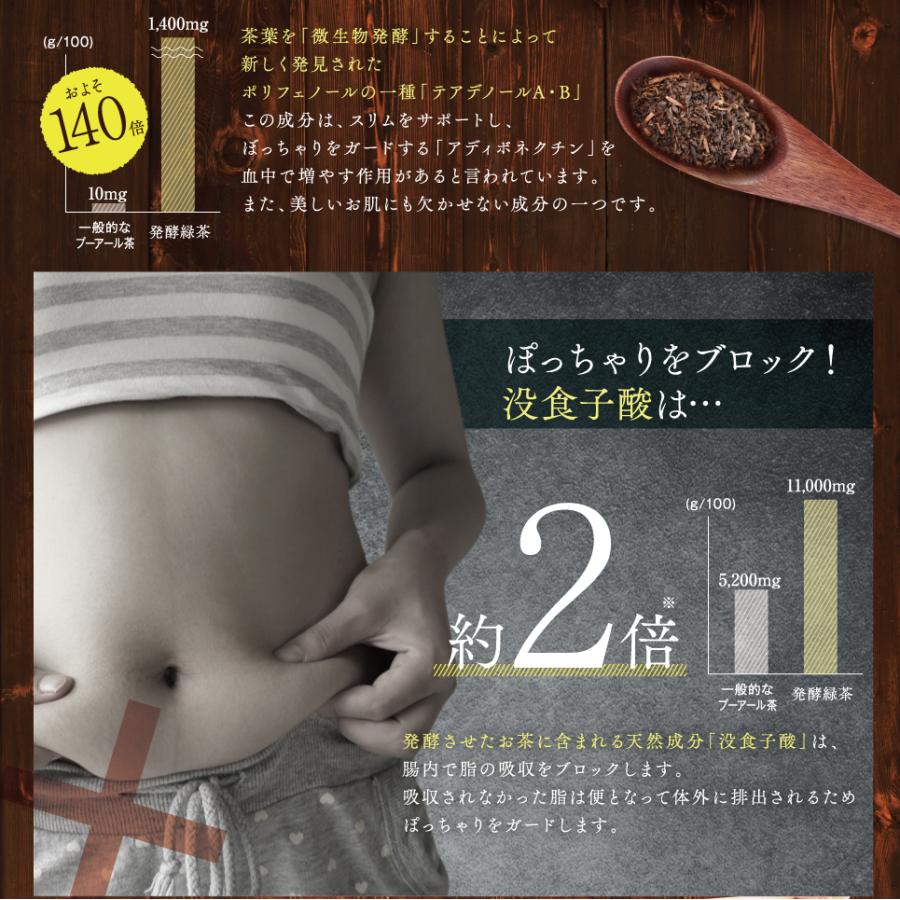 国産 オーガニック 発酵緑茶【2g×20包】｜ プーアル茶 プーアール茶