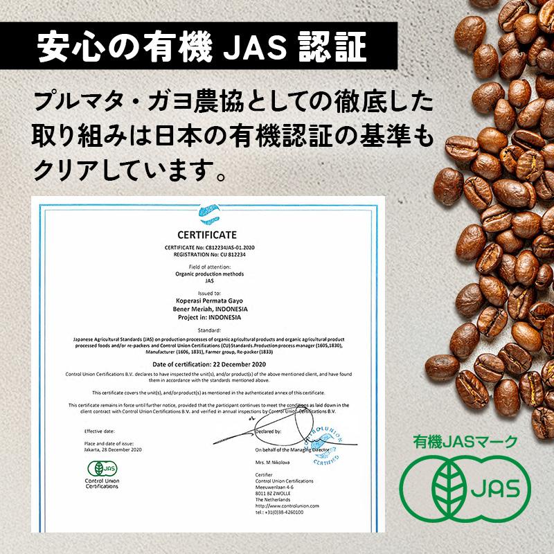 オーガニック ドリップコーヒー（10袋）| 10杯用 10g 有機 ドリップ