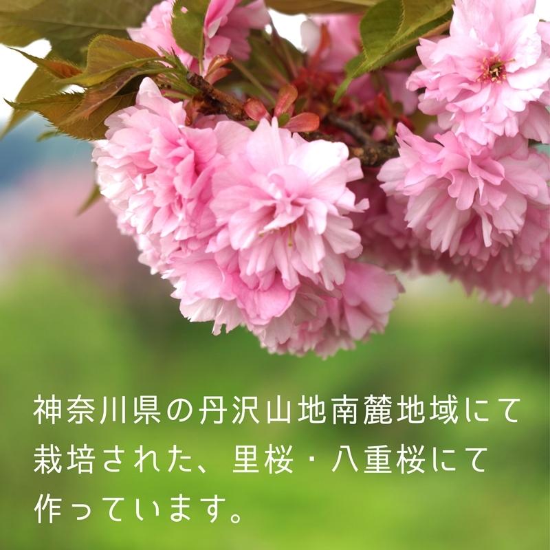 送料無料 バースデー 記念日 ギフト 贈物 お勧め 通販 桜色の華やかな食卓に 桜花と桜葉の国産さくらパウダー 40g エディブルフラワー 食用花 桜の葉 お菓子作り Sakura 料理 さくら 桜の花