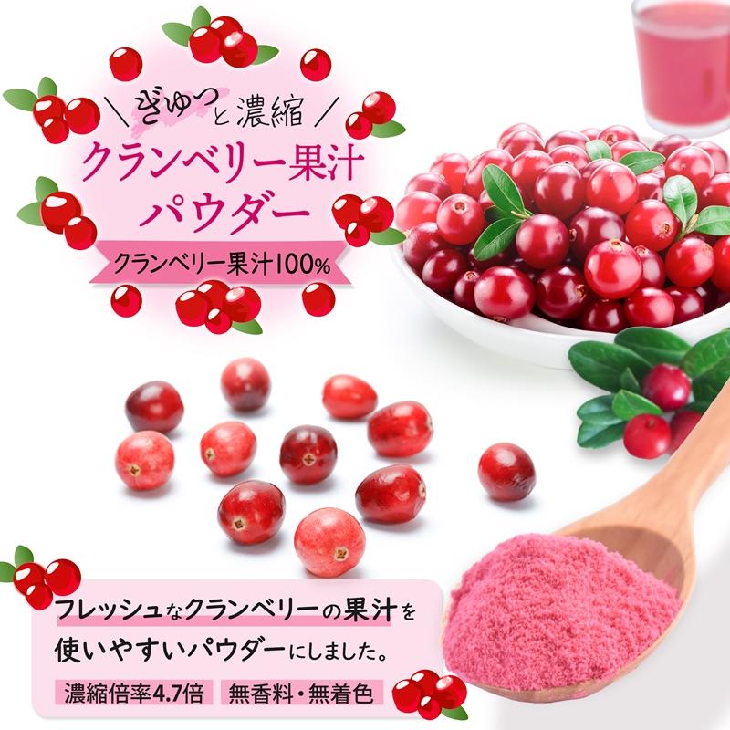 クランベリー果汁パウダー（40g） 製菓用 製菓用パウダー クランベリー ベリー 果汁 粉末 パウダー クランベリー粉末 無添加 お料理