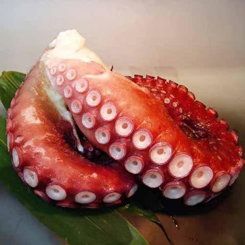 有名な 北海水たこ 特選品 約1kg 1 2kg Wantannas Go Id