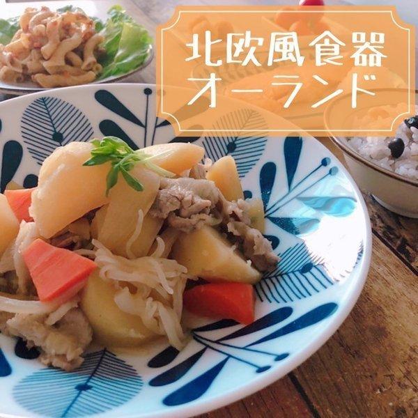 オーランド 軽量 22cm 深皿 日本製 美濃焼 食器 陶器 うつわ プレート 丸皿 パスタ 軽い うすい 洋風 おしゃれ｜yamaseikaede｜04