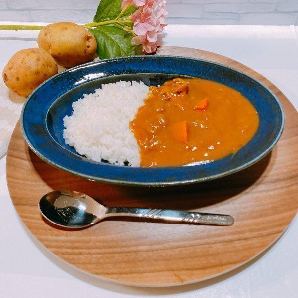 オーバルカレー皿2点　新品未使用品　美濃焼　パスタ　シチュー　すくいやすい オーバルカレー皿2点 新品未使用品 美濃焼 パスタ シチュー すくいやすい
