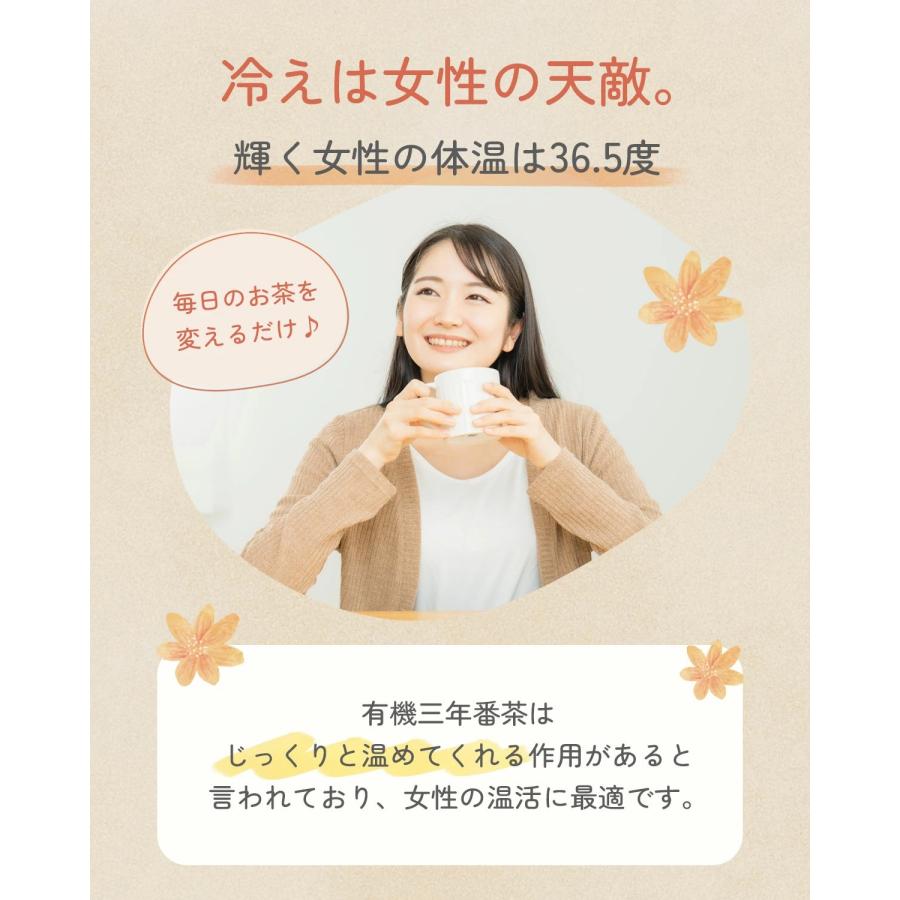 山城物産 有機三年番茶 90g(3g×30包) ティーバッグ 無農薬 国産 3年
