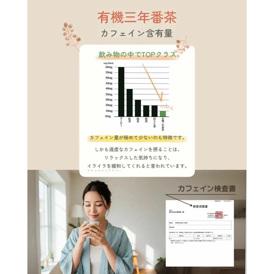 山城物産 有機三年番茶 90g(3g×30包) ティーバッグ 無農薬 国産 3年