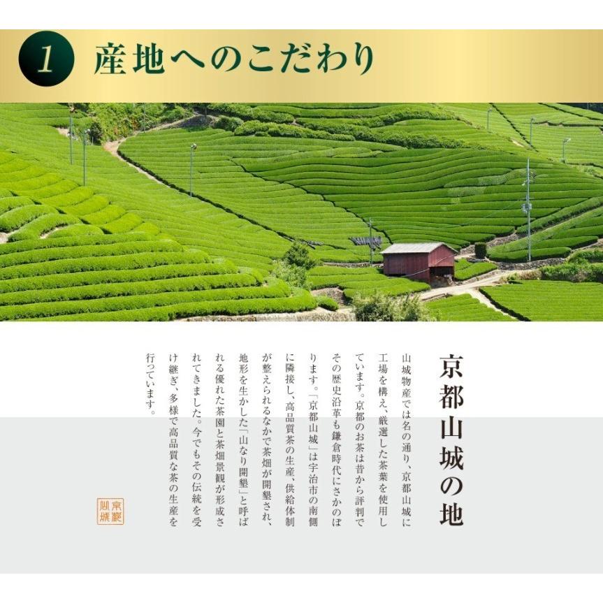 お得な2個セット! 粉末茶 粉末緑茶 専用容器付き 茶師の一煎 容器 茶カテキン 玉露 健康志向 宇治玉露入り 山城物産(当商品はミルではございません) 茶葉・ティーバッグ 粉末茶 粉末緑茶 専用容器付き 日本茶 お茶 茶師一煎 容器 玉露 茶カテキン 宇治玉露入り 静岡深蒸し茶 健康志向 カテキン 瓶 粉茶 山城物産 (当商品はミルではございません。)