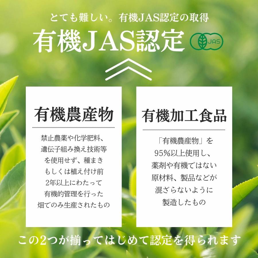 山城物産 有機水出し緑茶ティーバッグ 2g×70袋 大容量 有機JAS認定
