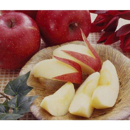 ふじりんご フジ林檎8個入り 送料無料（北海道、沖縄県は送料