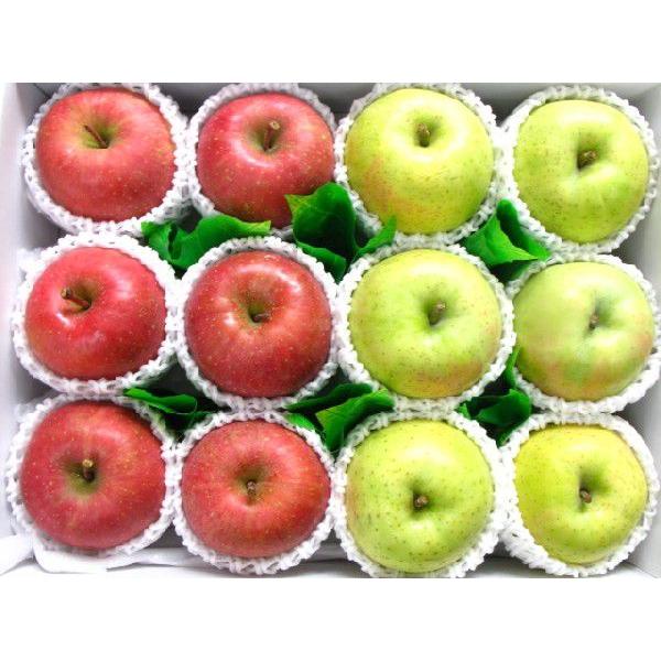 ふじ 王林 りんごセット 送料無料（北海道、沖縄県は送料1000円追加させていただきます。）