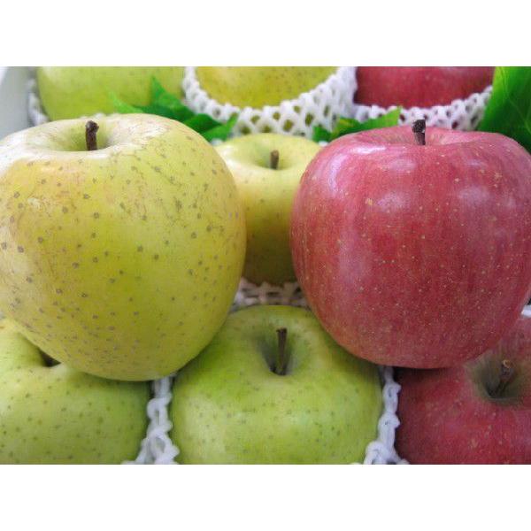 ふじ 王林 りんごセット 送料無料（北海道、沖縄県は送料1000円追加