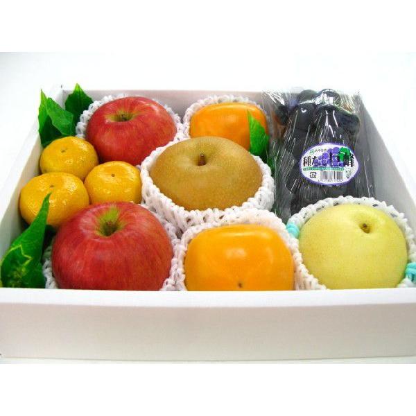 果物 お供え フルーツ fruit お見舞い あすつく 送料無料(北海道、沖縄県は送料1000円追加させていただきます。) :10000269:山城果物店 - 通販 - Yahoo!ショッピング 果物 お供え フルーツ fruit お見舞い あすつく 送料無料(北海道、沖縄県は送料1000円追加させていただきます。) :10000269:山城果物店 - 通販 - Yahoo!ショッピング