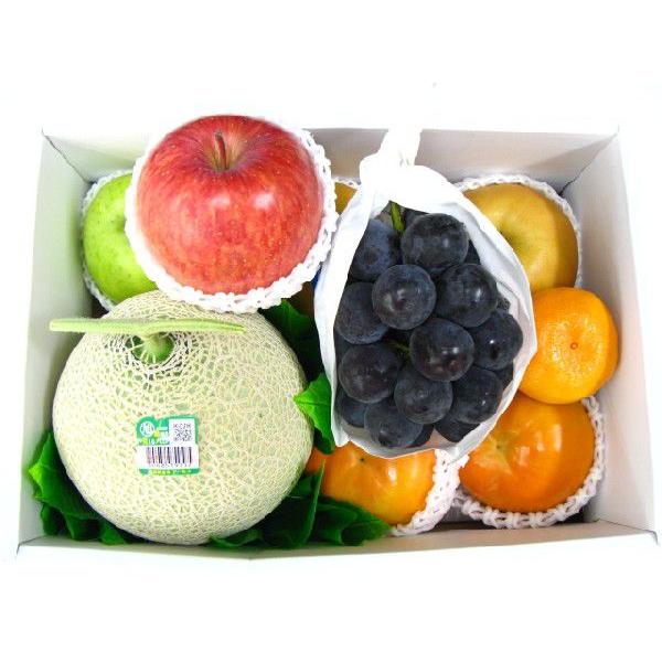 果物　母の日　お供え　fruit　お見舞い　あすつく　 8640円 送料無料（北海道、沖縄県は送料1000円追加させていただきます。）｜yamashirokudamono｜02