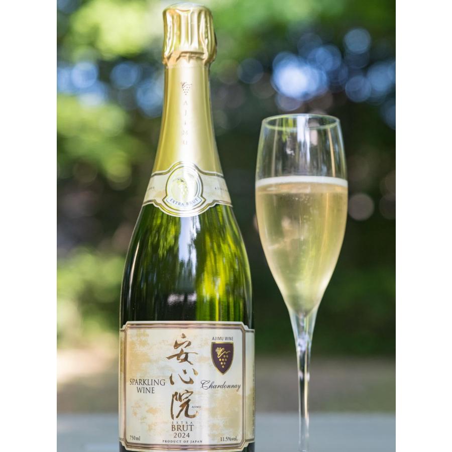 安心院スパークリングワイン 白 750ml 日本ワインコンクール最高金賞