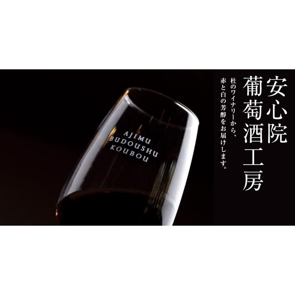 安心院ワイン新酒 白 ナイアガラ2023年 720ml 日本ワイン安心院葡萄酒工房の通販購入お取り寄せ｜yamashiroya｜03