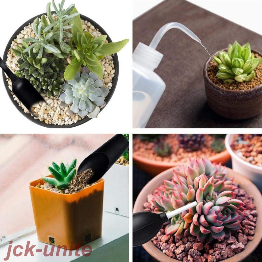 ガーデニング ミニツール 15点セット 多肉植物 観葉植物 室内 園芸用品 寄せ植え 多用途組み合わせ ハンドスコップ ミニチュアガーデン |  | 10