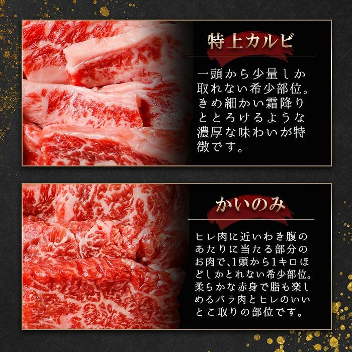 松阪牛 焼肉 ２段重 焼肉10種セットF 松阪牛6種 牛タン４種 焼肉セット 計620g タレ付き 人気部位 ギフト 熨斗対応可 国産 A5等級 和牛 高級 贈り物 焼肉の画像