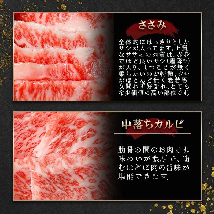 松阪牛 焼肉 ２段重 焼肉10種セットF 松阪牛6種 牛タン４種 焼肉セット 計620g タレ付き 人気部位 ギフト 熨斗対応可 国産 A5等級 和牛 高級 贈り物 焼肉の画像