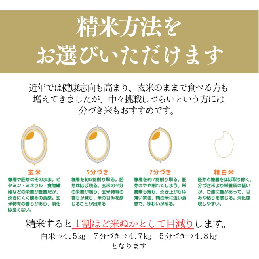 令和6年度米 新米　キヌヒカリ米　精米済み 白米　美味しい米　27キロ　11900円 Amazon.co.jp: 【精米】令和7年 キヌヒカリブレンド 白米10kg : 食品