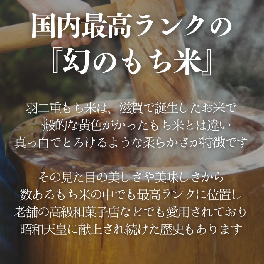 滋賀羽二重糯 新米 お米 羽二重 もち米 14kg (1.4kg×10袋) 1斗 令和7