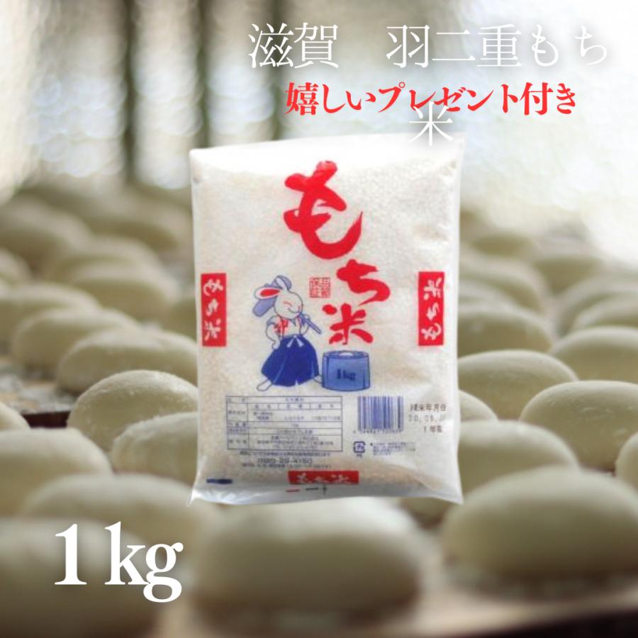 滋賀羽二重糯 新米 お米 羽二重 もち米 1kg 令和7年産 滋賀県産 餅つき