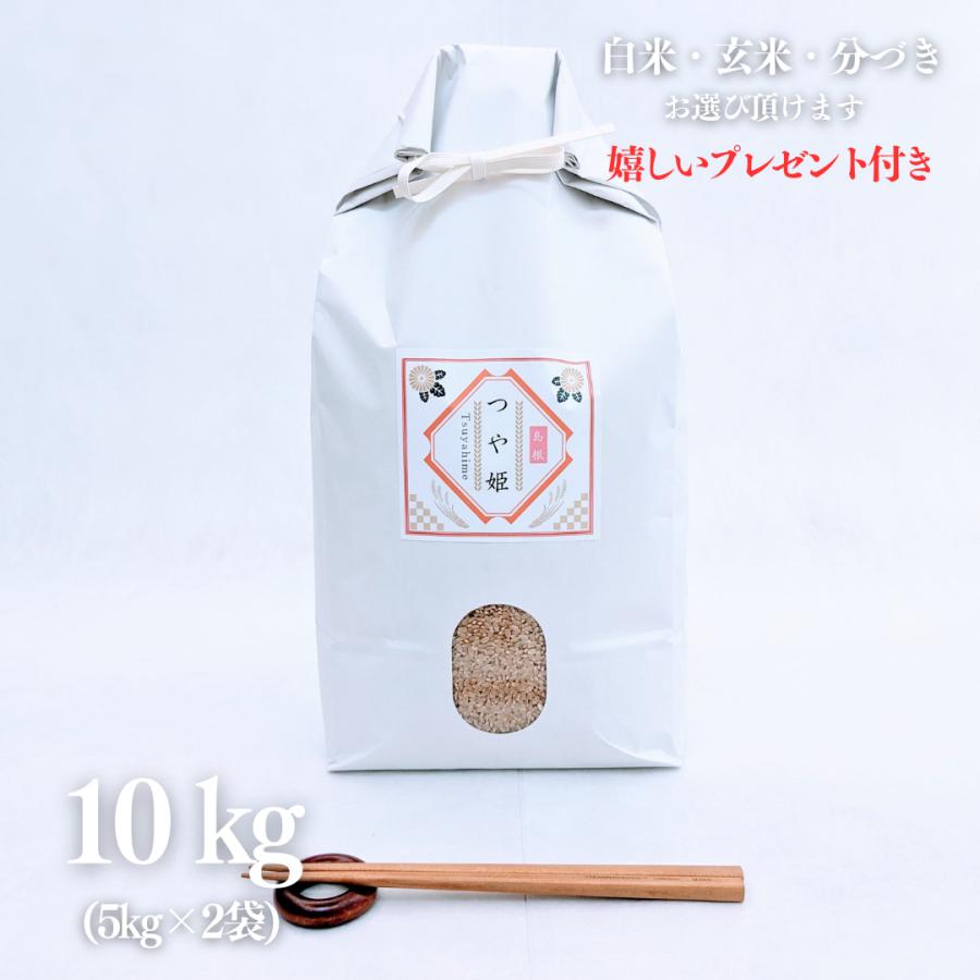10kg 白米 紙袋