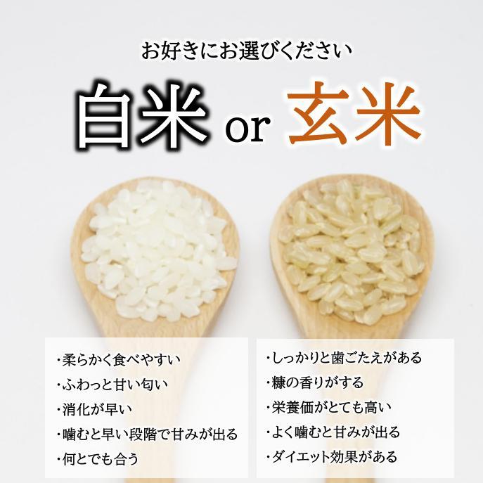 滋賀県産 ミルキークイーン 玄米 10kg 令和４年産 Mr3g10 もりかわ農場 店 通販 半額セール ミルキークイーン玄米30キロ Maksismt Lv