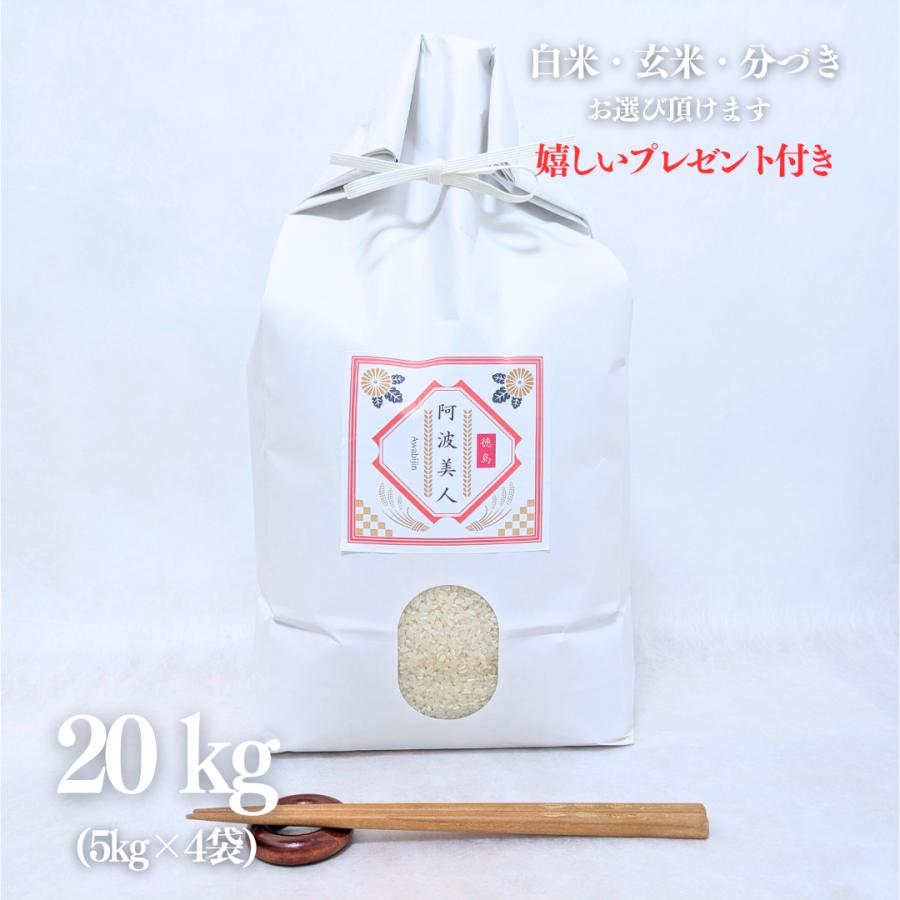 コシヒカリ お米 新米 20kg 令和7年産 徳島県産 阿波美人 玄米5kg×4袋