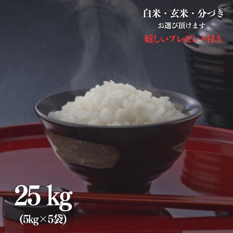 コシヒカリ 新米 令和6年産 お米 25kg 滋賀県 酵素栽培 玄米 5kg