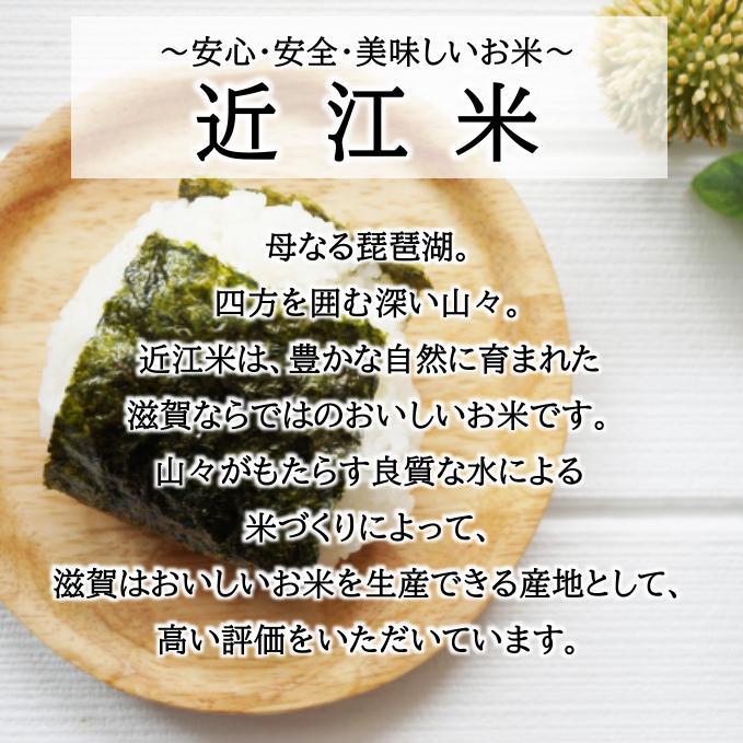【最終　お得　送料込】令和7年産コシヒカリ　滋賀の米 25kg コシヒカリ 新米 令和7年産 お米 25kg 滋賀県 玄米 5kg×5袋 精米無料