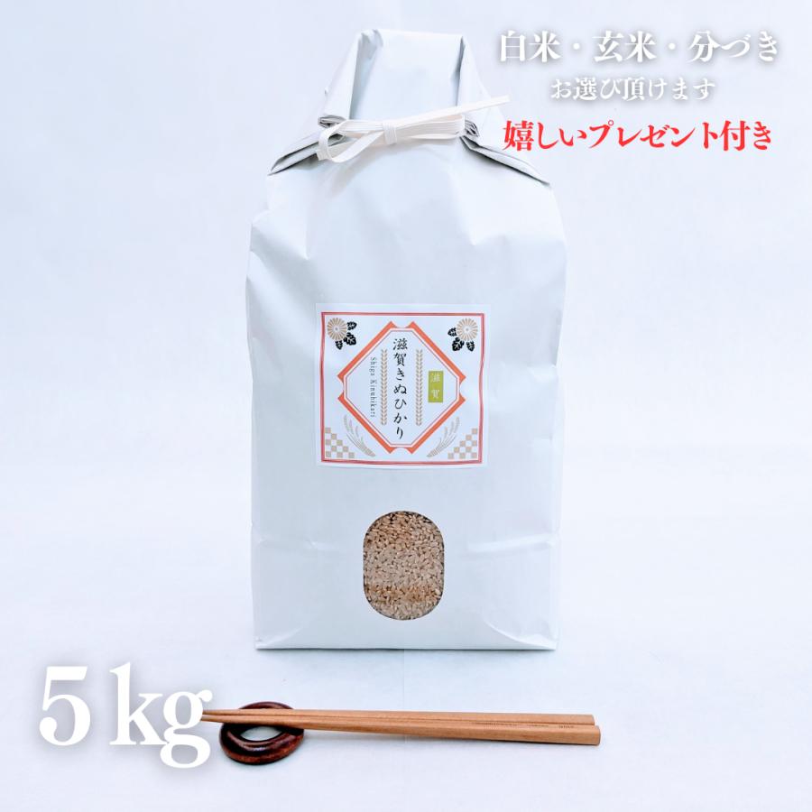 引出物 近江米 滋賀県産 新米 コシヒカリ100% 令和4年産 白米2kg 産地