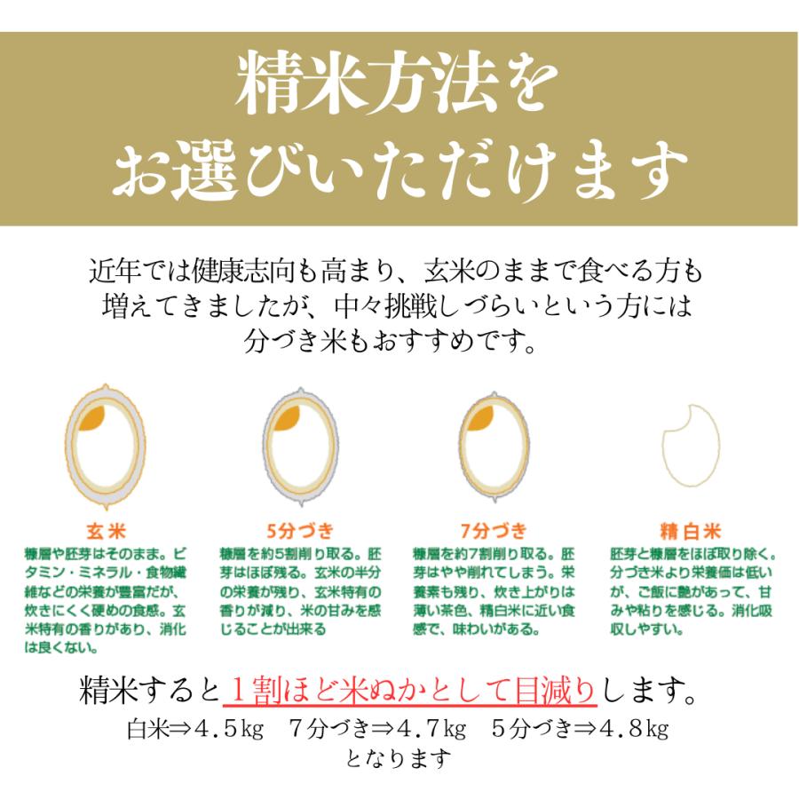 お米 5kg 滋賀県 ミルキークイーン 玄米 5kg×1袋 令和5年産 近江米 精米無料 白米 5分付き 7分づき 熨斗 紙袋 嬉しいプレゼント付き 送料無料｜yamasina｜03