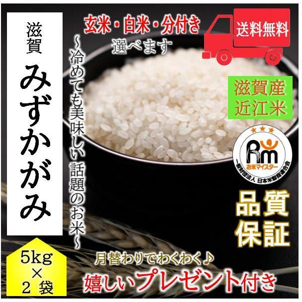 お米 10kg 近江米 滋賀県産　みずかがみ 令和3年産 玄米5kg（白米４．５ｋｇ）×2袋｜yamasina